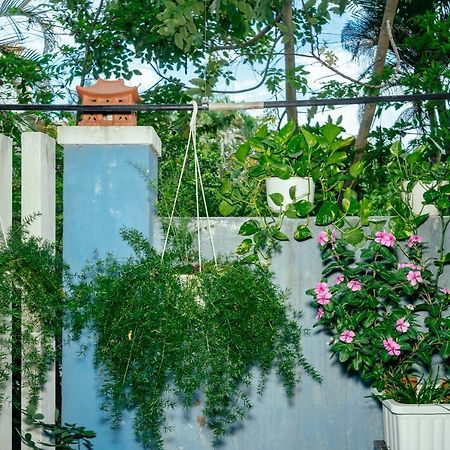 Green Bud Hostel And Homestay هوي ان المظهر الخارجي الصورة