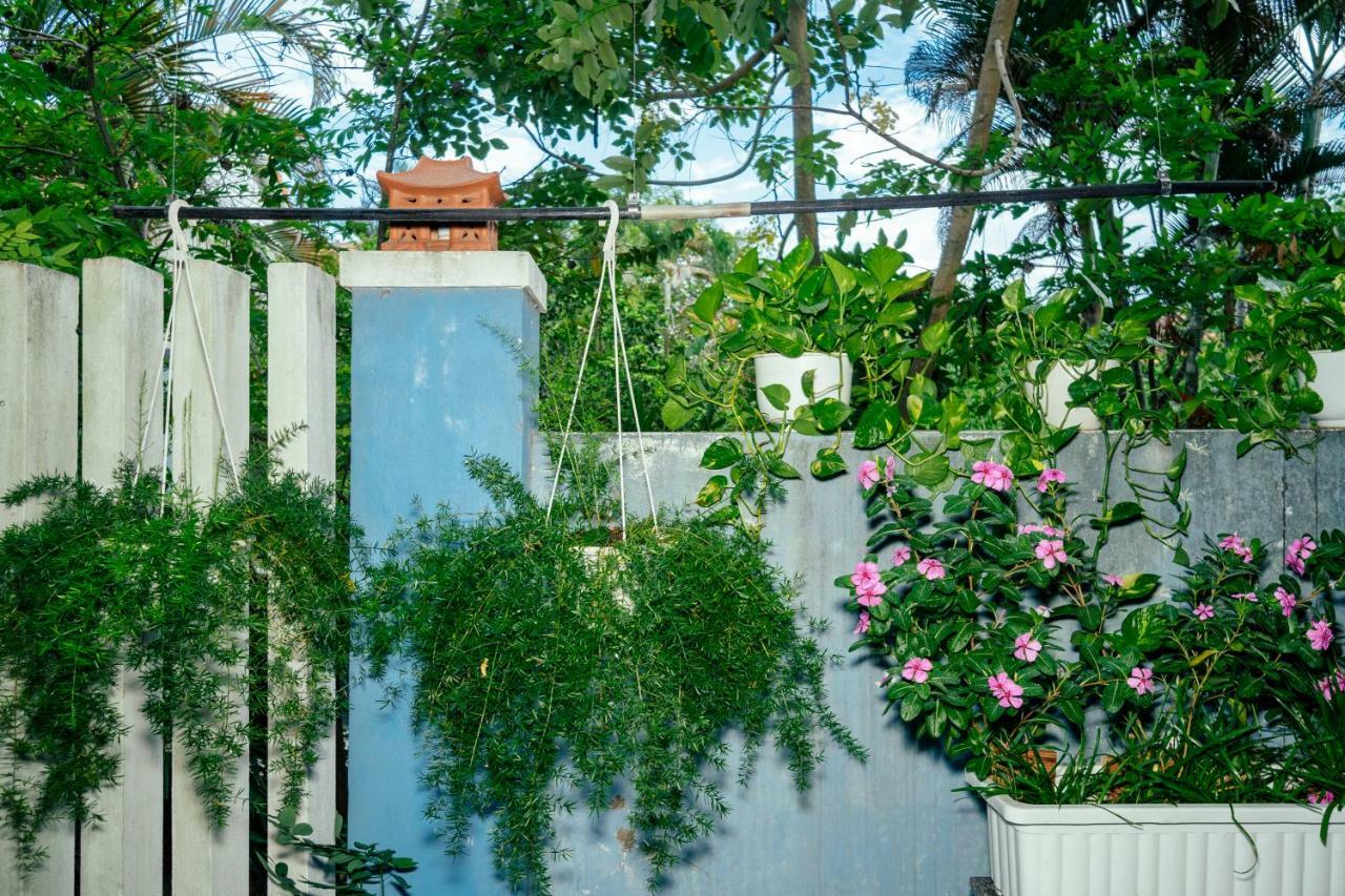 Green Bud Hostel And Homestay هوي ان المظهر الخارجي الصورة