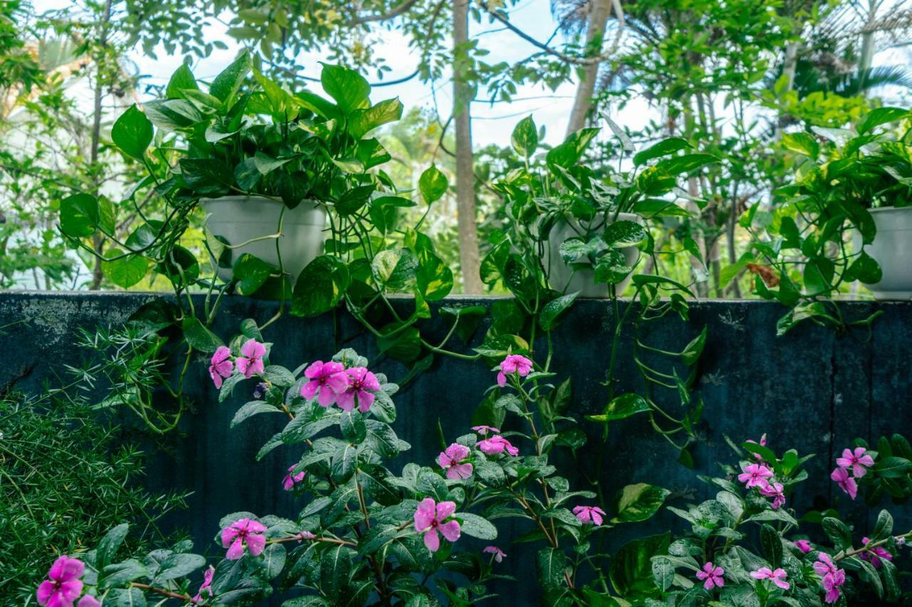 Green Bud Hostel And Homestay هوي ان المظهر الخارجي الصورة